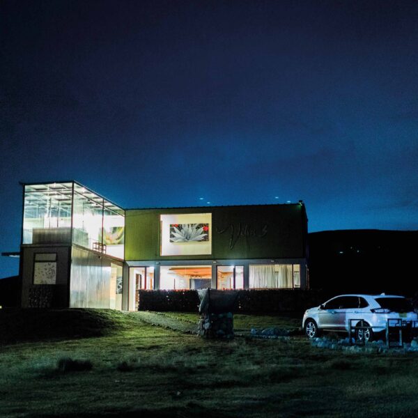 REGUFIO PIEDRA PARADA